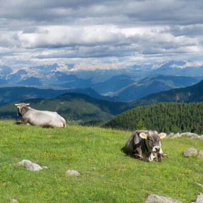 Val d'Ultimo (2).jpg